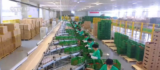 100億、10億、8.7萬(wàn)億!鄉(xiāng)村特色產(chǎn)業(yè)領(lǐng)域拓寬 發(fā)展韌性強(qiáng)