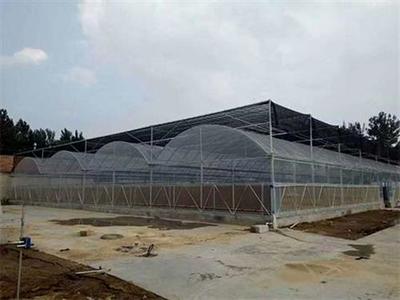 宏陽溫室大棚 昆明農(nóng)業(yè)大棚廠家直銷的優(yōu)質選擇