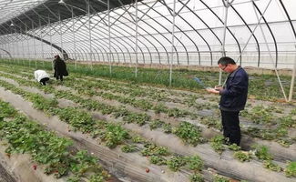 農(nóng)產(chǎn)品抽檢筑牢安全防線 親子運動會共繪社區(qū)春色——合陽金水社區(qū)近期活動側記