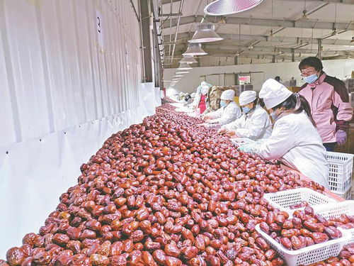 兵團日報 農(nóng)業(yè)現(xiàn)代化進程中的兵團力量