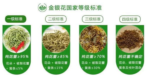 廣西巴馬意生活生態(tài)農(nóng)業(yè)產(chǎn)品正式上市 健康農(nóng)業(yè)新標桿，綠色生活新風尚