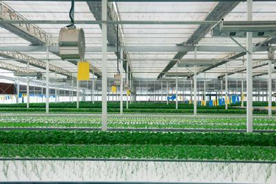 飯碗端得更牢 餐桌更加豐富——“十四五”農(nóng)業(yè)高質量發(fā)展答卷