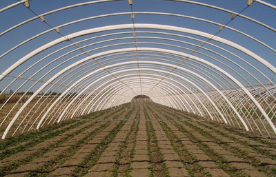 安陽市佳和農(nóng)業(yè) 專業(yè)品質，護航現(xiàn)代農(nóng)業(yè)——大棚配件廠家的卓越實踐